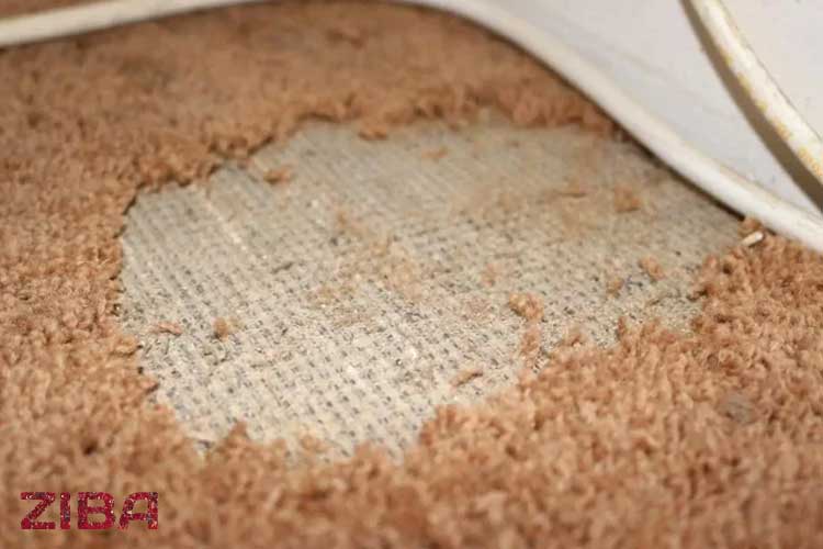 راهکارهای جلوگیری از بیدزدگی فرش